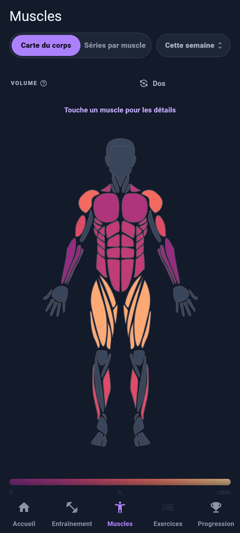 La carte du corps dans Kilogain, avec les groupes musculaires en couleur