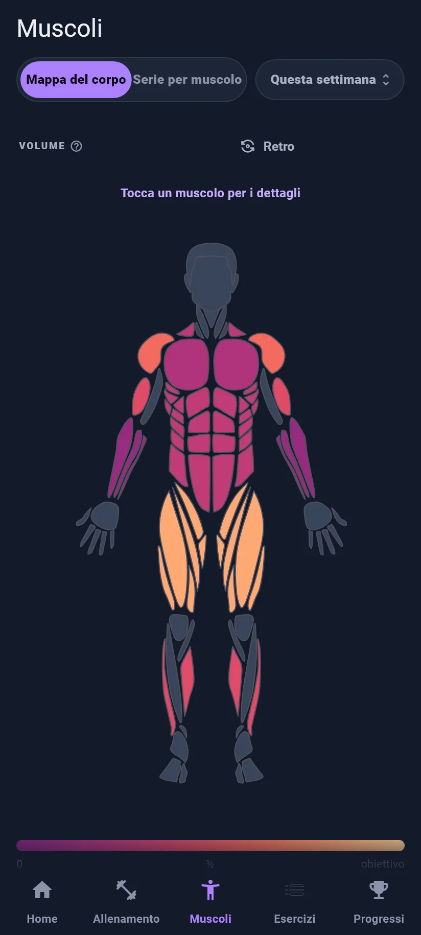 Muscoli: mappa del corpo