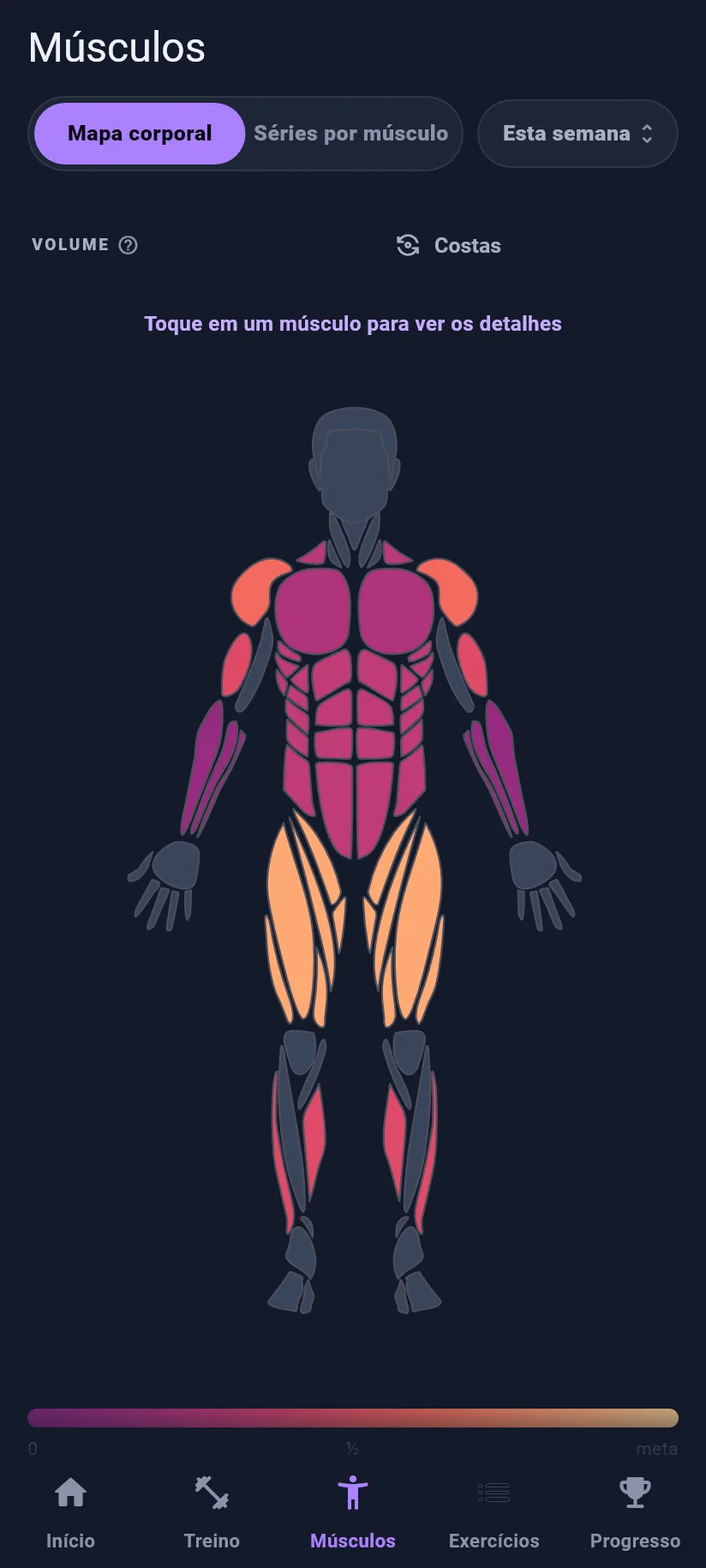 O mapa corporal no Kilogain com grupos musculares coloridos