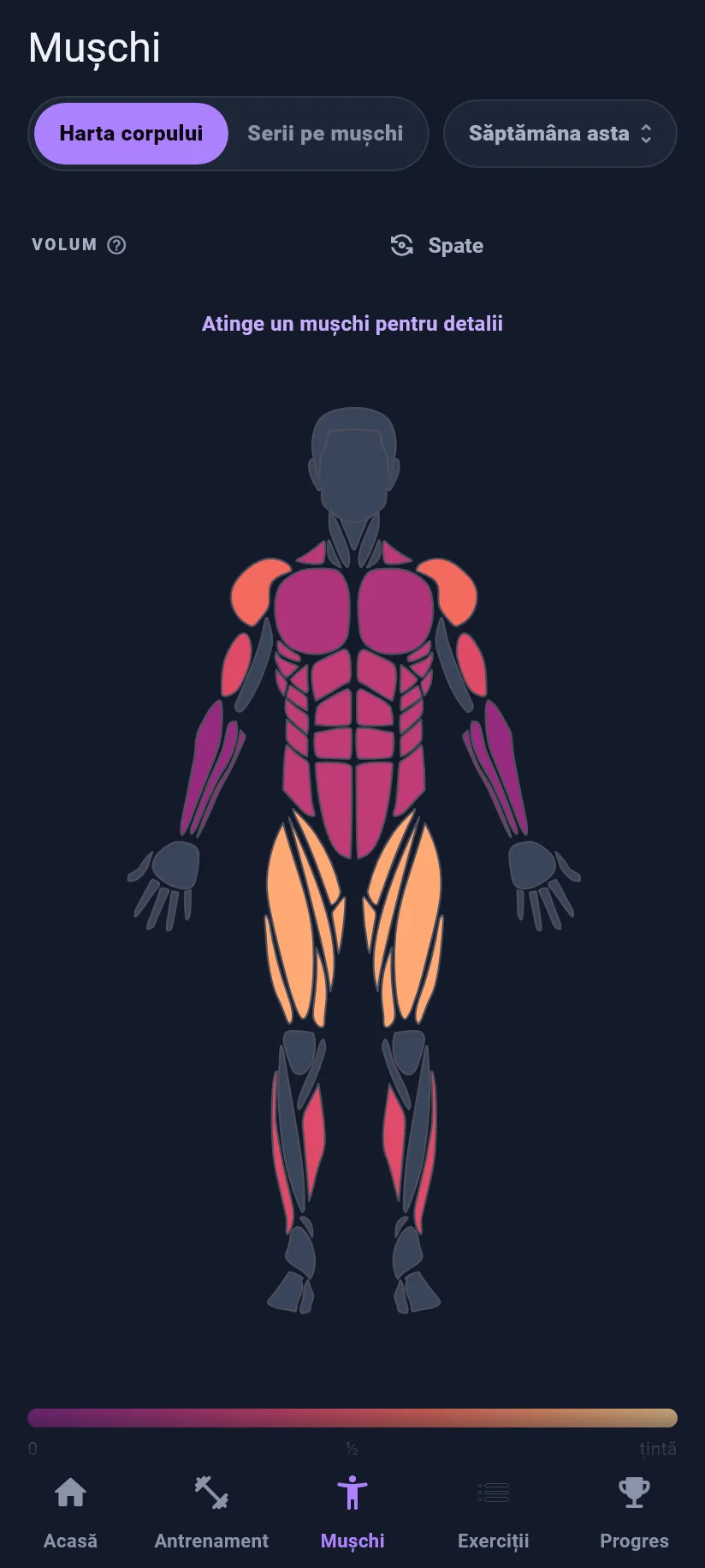 Harta corpului în Kilogain, cu grupele musculare colorate