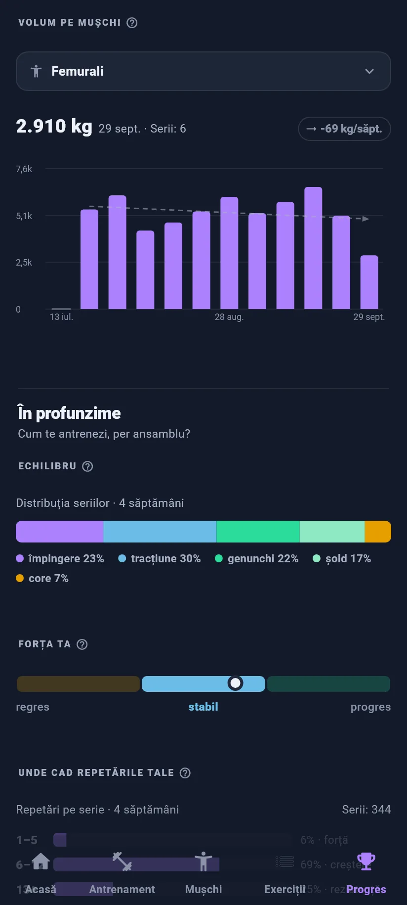 Progres: tendințele tale: volum pe grupă musculară
