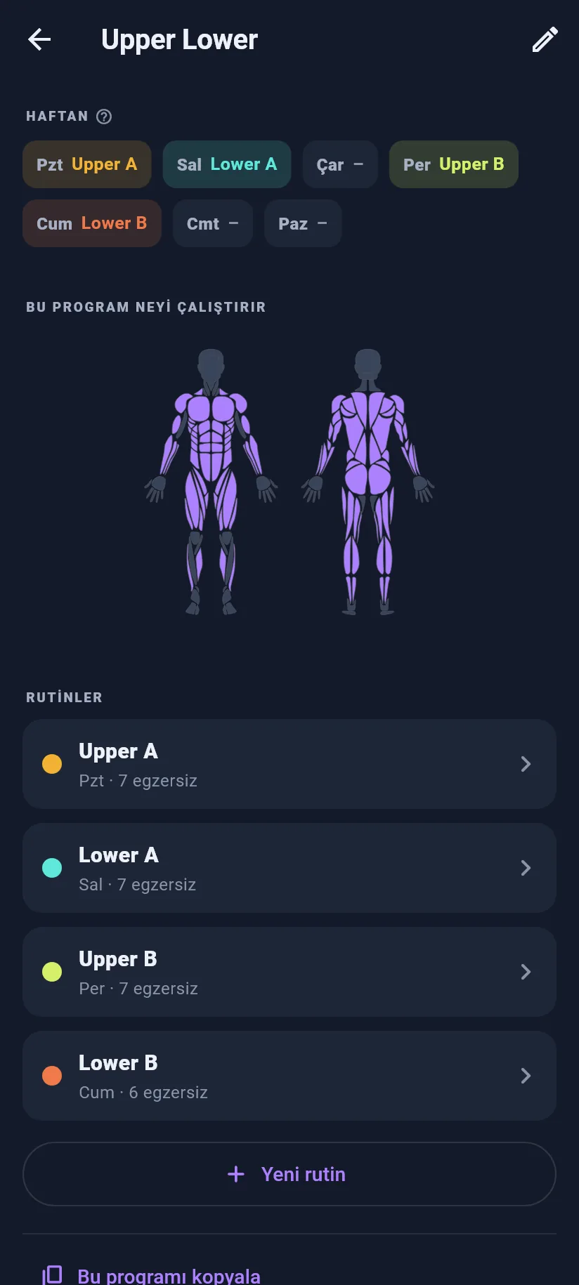 Antrenman: programını düzenleme